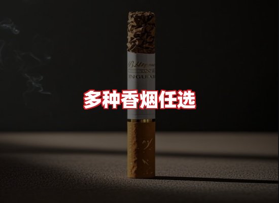 专业团队